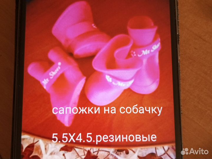 Одежда для маленьких пород собак Йорик до 3 кг