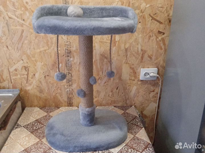 Когтеточка