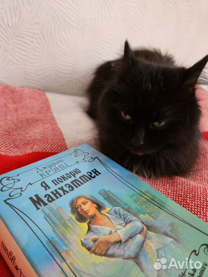 Кошка Дуся продаст книги