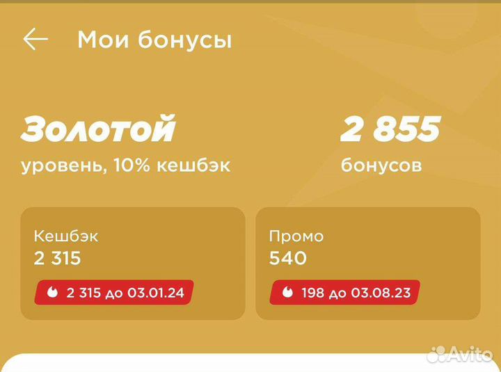 Бонусы Спортмастер