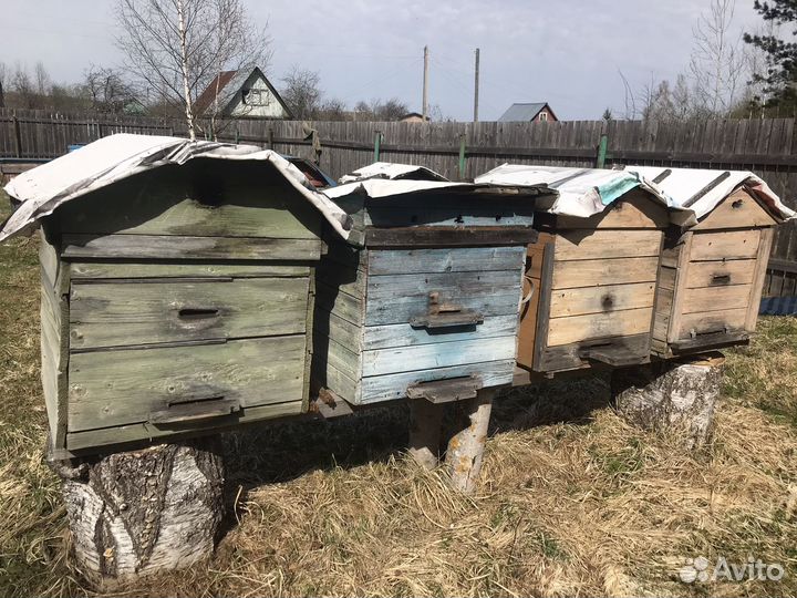 Улей для пчел бу