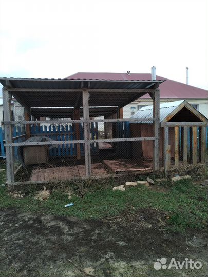 Вольер для собак бу уличный