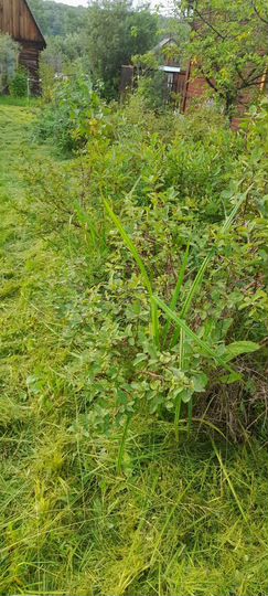 Дача 30 м² на участке 4 сот.