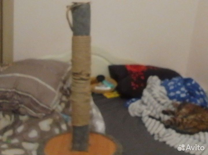 Когтеточка домик для кошки