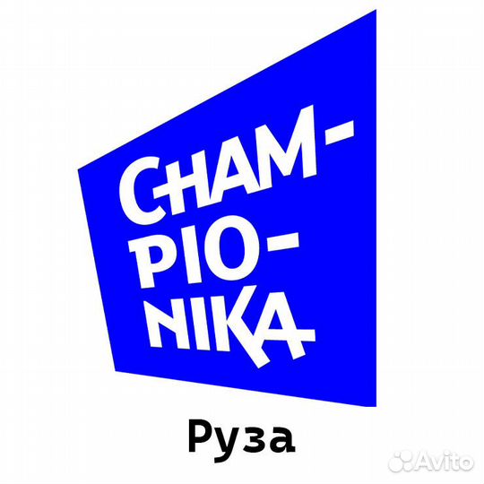 Преподаватель в школу программирования Руза