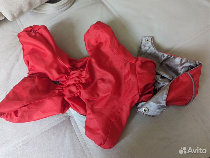 Одежда для маленькой собаки