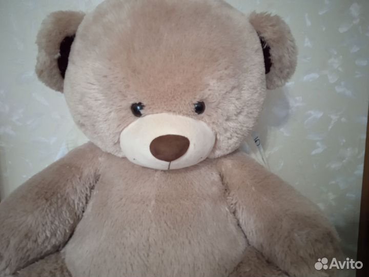Плюшевый медведь