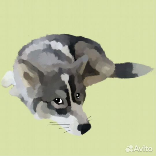 Нарисую Вашего питомца