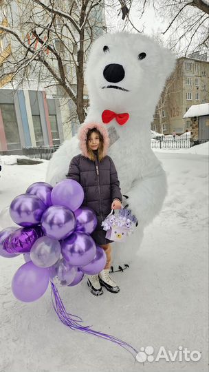 Поздравление от мишки чебурашки,сюрприз,ростовые