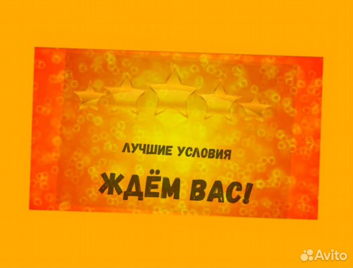 Штабилёрщик Вахта Питание+Ежедневные Выплаты