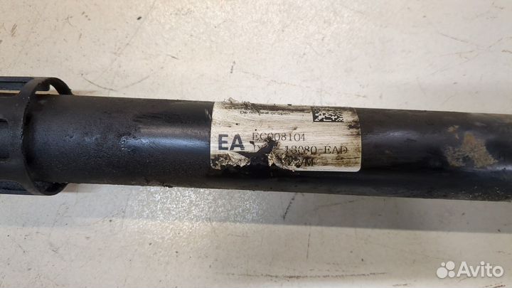 Амортизатор подвески левый задний Ford Focus 4 2018, 2018