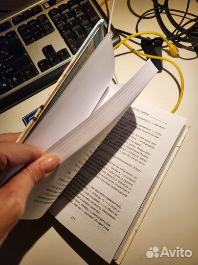 Книга - Катя Качур Любимчик Эпохи