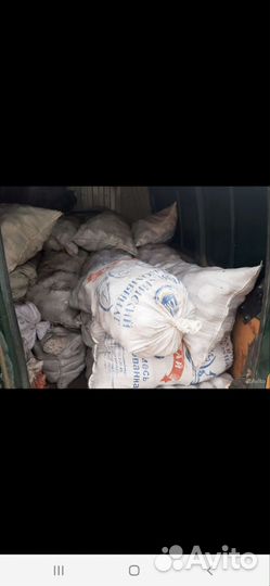 Продам картофель