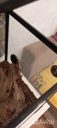 Террариум для рептилий бу