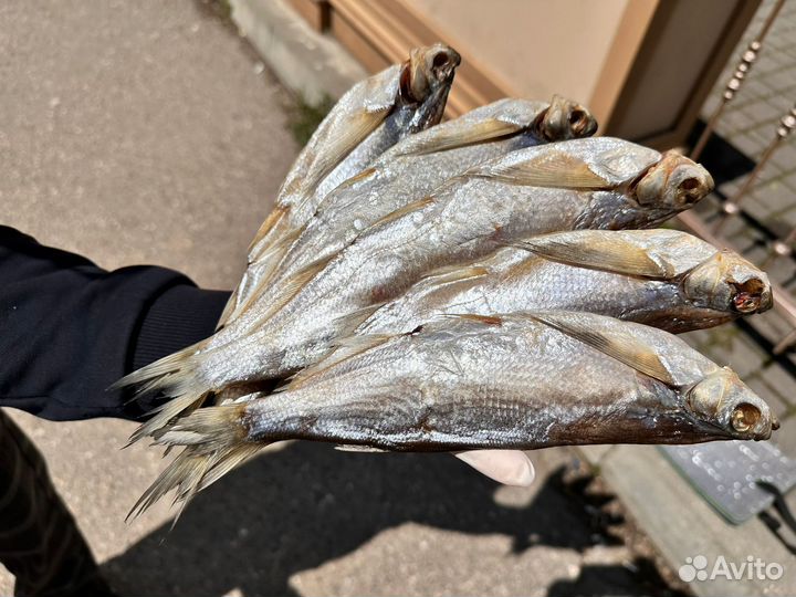 Копченая и вяленая рыба
