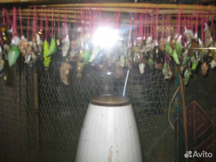 Кулер для воды