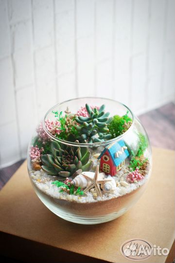 Флорариум-комплимент с суккулентами в шаре