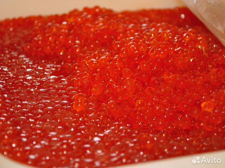 Икра Горбуши