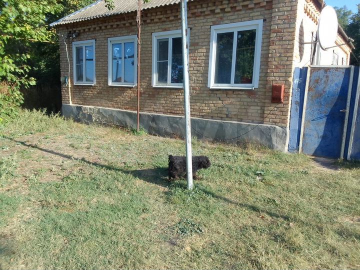 Дом 66,4 м² на участке 13 сот.