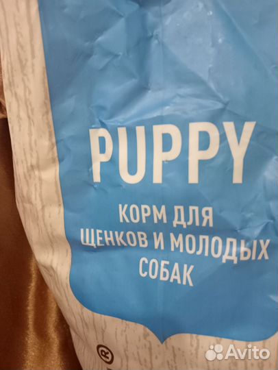 Корм для собак