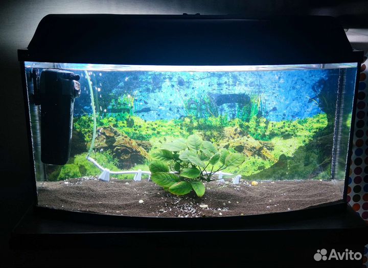 Аквариум