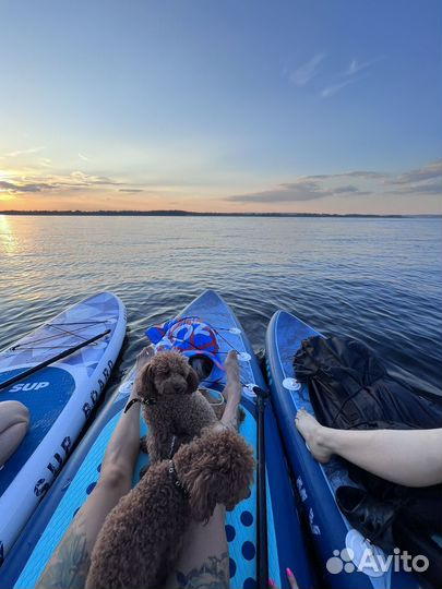 Аренда прокат сапбордов и лонгбордов
