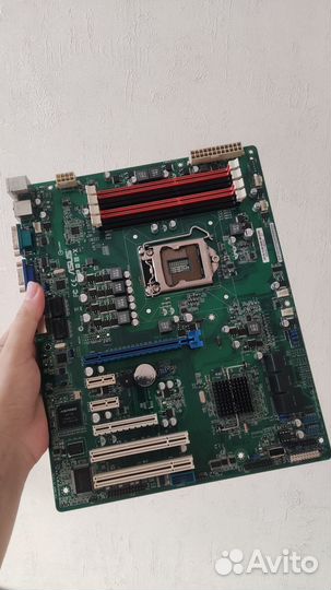 Asus P8B-X 1155