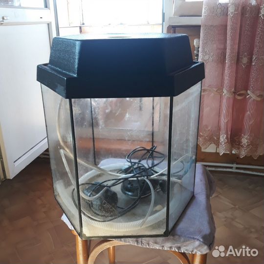 Аквариум