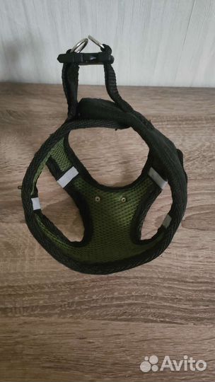 Шлейка для маленькой собаки Saival