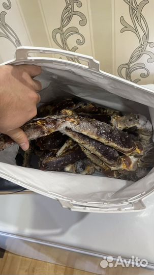 Фаланги Камчатского Краба