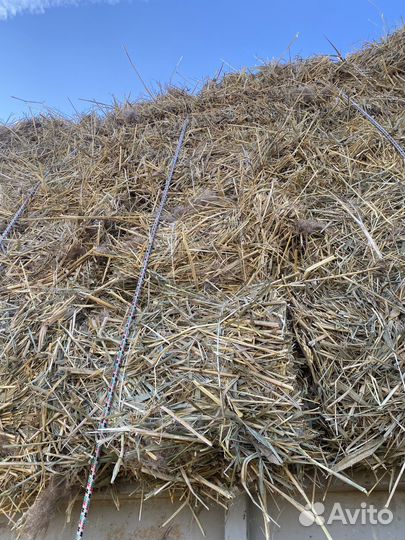 Сено солома рисовая доставкой