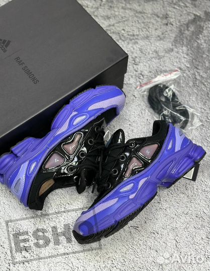 Adidas By Raf Simons Ozweego III