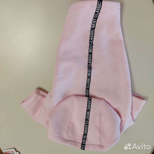 Одежда для животных