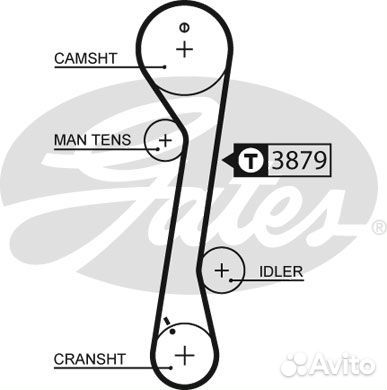 Ремень грм hyundai / KIA 2.0 01- (113x25)
