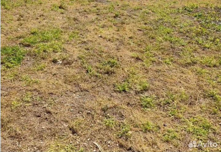 Гербицид Торнадо