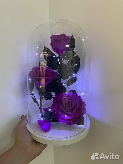 Роза в колбе в наличии от производителя