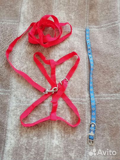 Шлейка для кошки