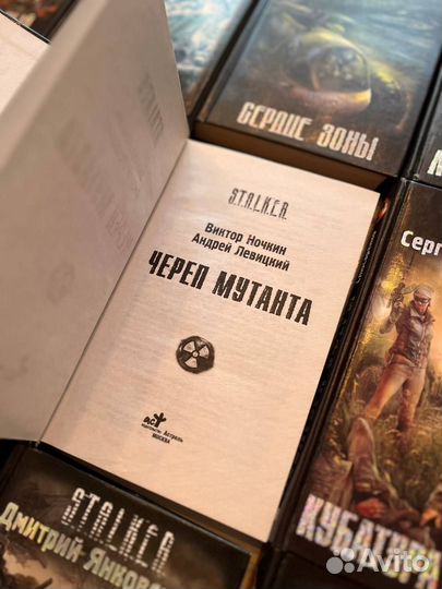 Книги серии Сталкер stalker