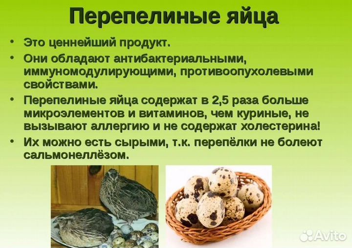 Яйцо перепелиное, молочная продукция домашняя