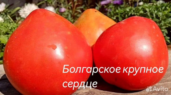 Продам семена редких коллекционных томатов и перца