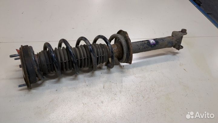 Амортизатор подвески Infiniti Q50, 2015