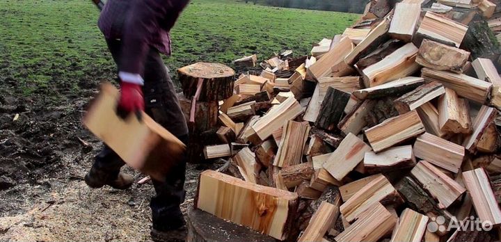Дрова высшего качества