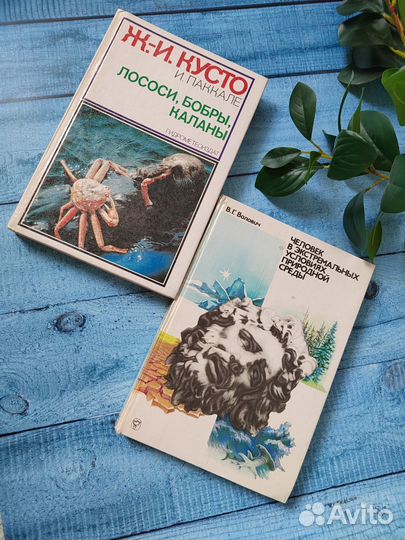 Книга Кусто Паккале