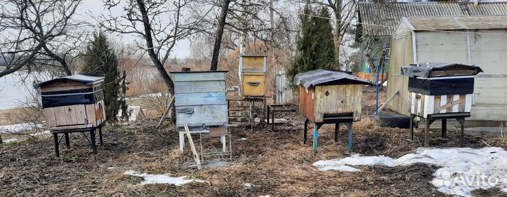 Ульи для пчел