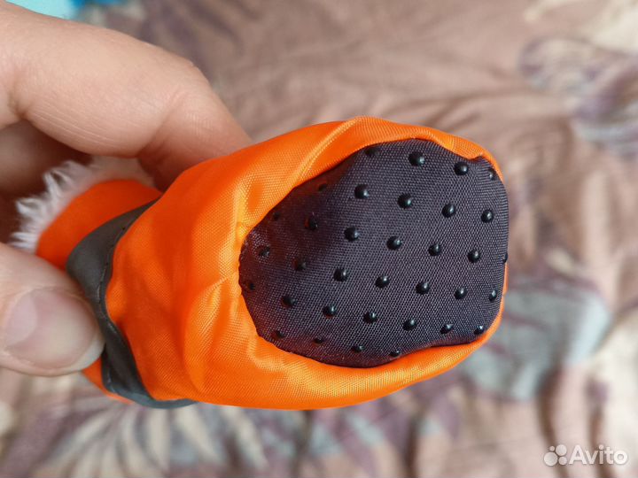 Обувь для животных