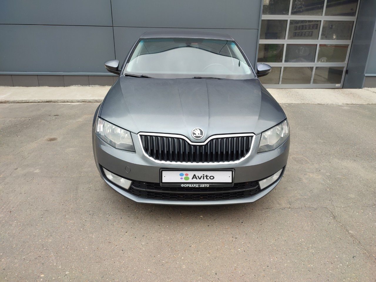 Skoda Octavia: фото владельца