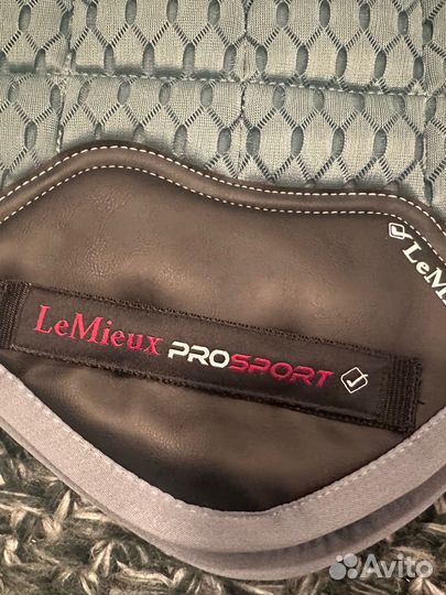 Вальтрап lemieux (конкур)