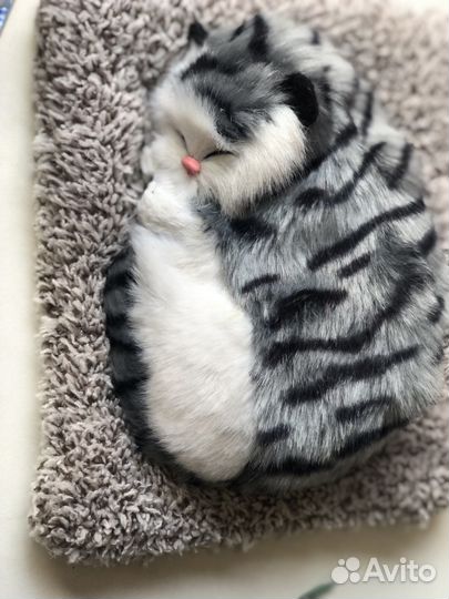 Мягкие сувенир кошка