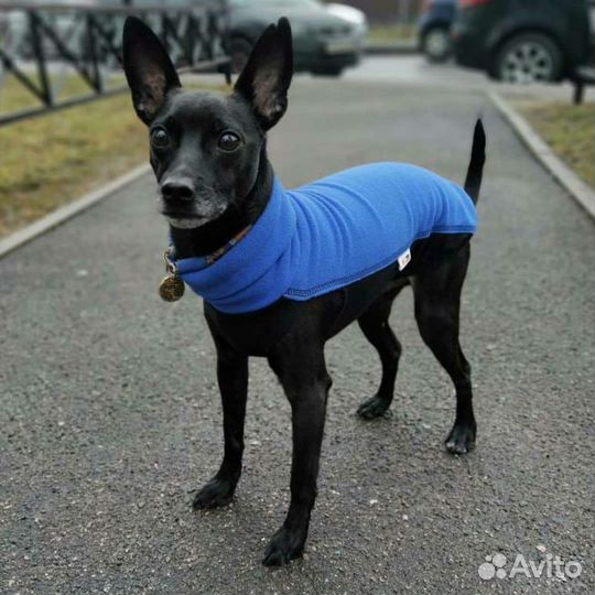 Кофты для собак