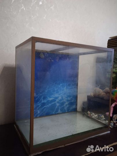 Аквариум